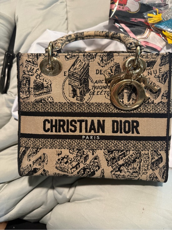 Dior Handbags - 🔥 AUTHENTIC DIOR LADY D-LITE – PLAN DE PARIS – MEDIUM 🔥